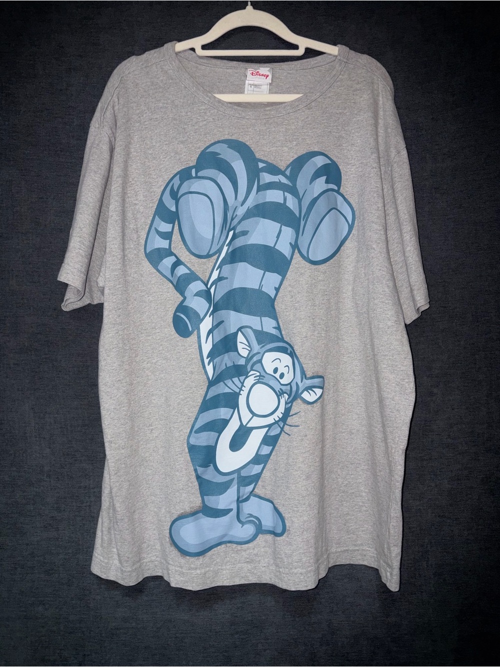 Disney Gray Tigger Graphic Tee with Blue Print